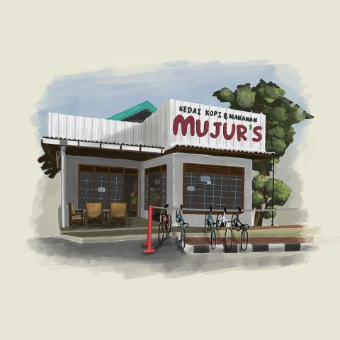 Mujur